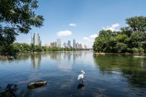 Austin Office Space