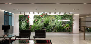 Green Office Space